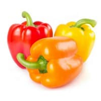 bell pepper on white background