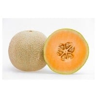 cantaloupe on white background