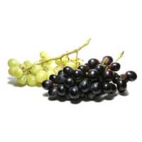 grapes on white background