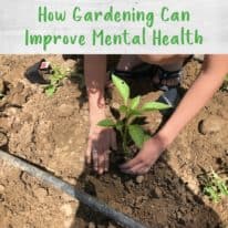 How Gardening Can Improve Mental Health