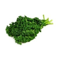 kale on white background