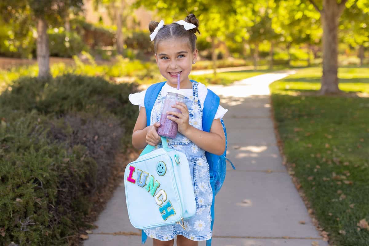 On the go breakfast ideas blueberry smoothie