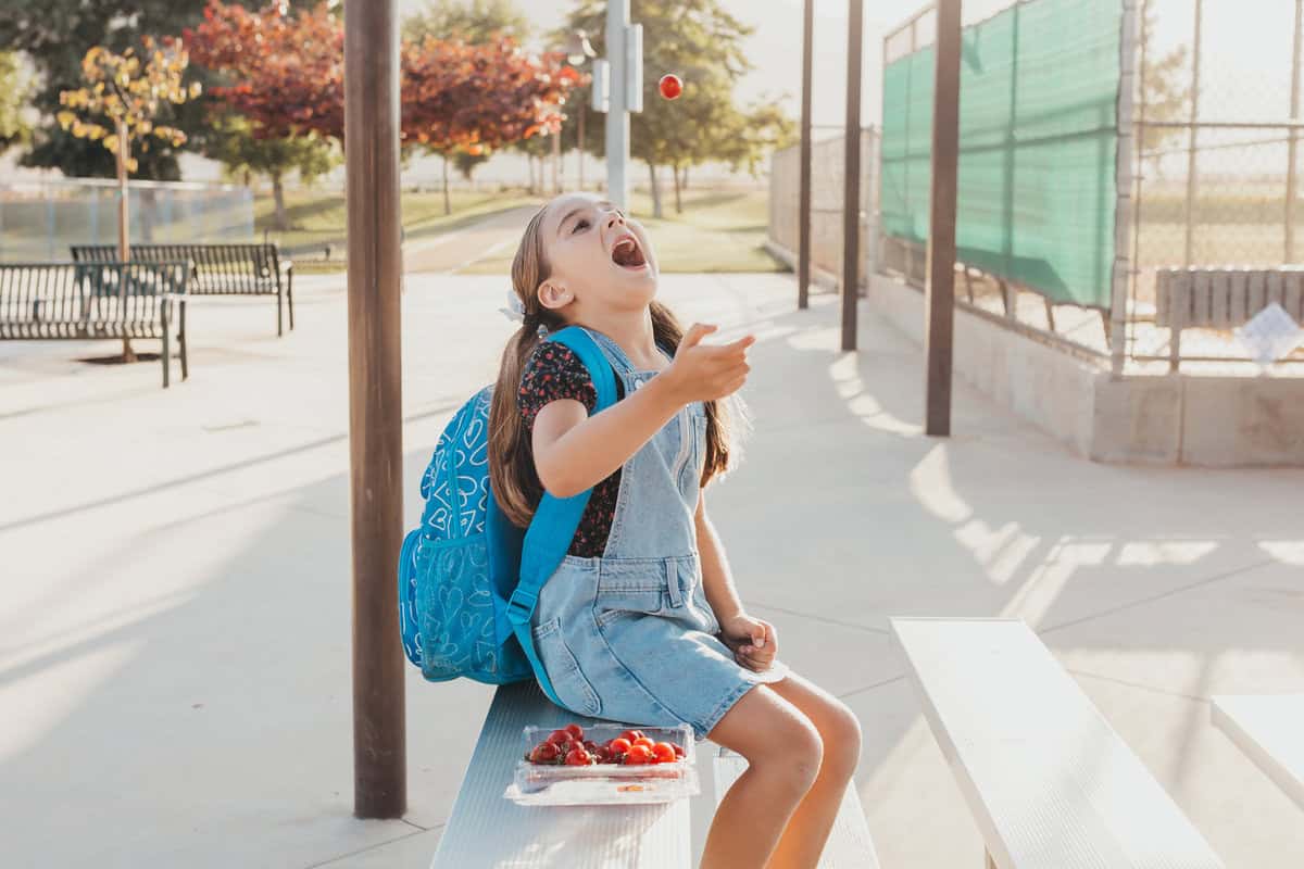 Sandwich On A Stick Ideas