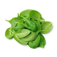 leaves of spinach on a white background
