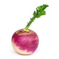 one purple and white turnip with a green stem and leaves on a white background