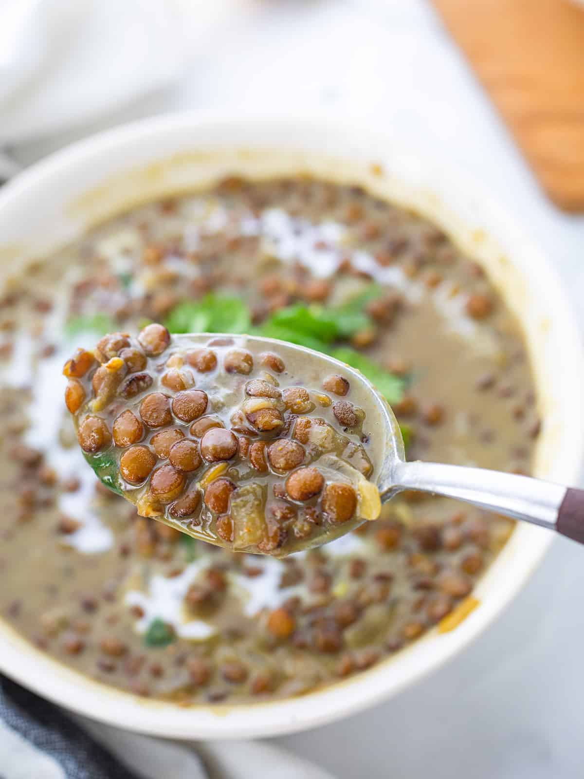 Best Vegan Coconut Lentil Curry Soup