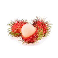 rambutan on a white background
